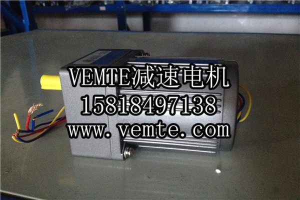 小電機(jī)，小型調(diào)速電機(jī),微型減速電機(jī) (2)